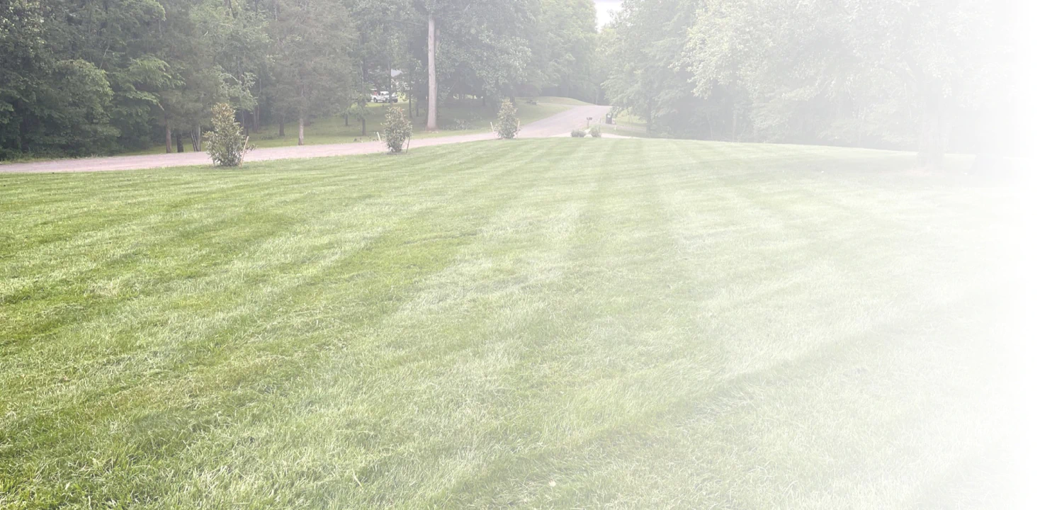 fresh and newly clean lawn